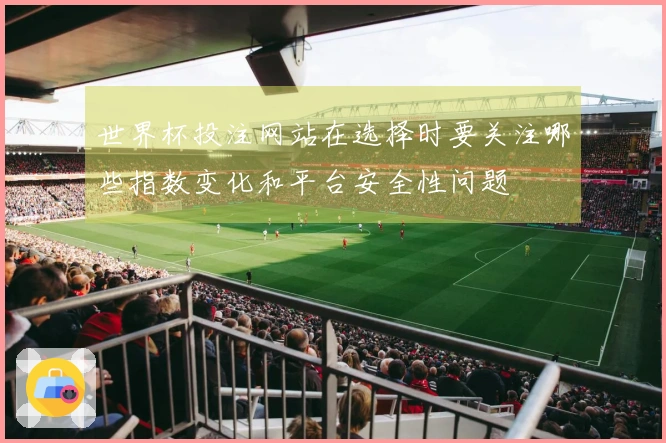 世界杯投注网站在选择时要关注哪些指数变化和平台安全性问题