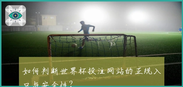 如何判断世界杯投注网站的正规入口与安全性？